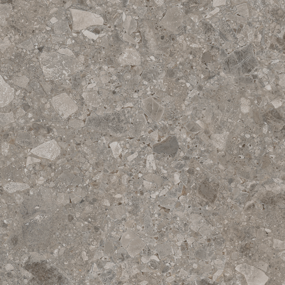 Floor Tiles Ceppostone Dark Greige Matte 24" x 24"
