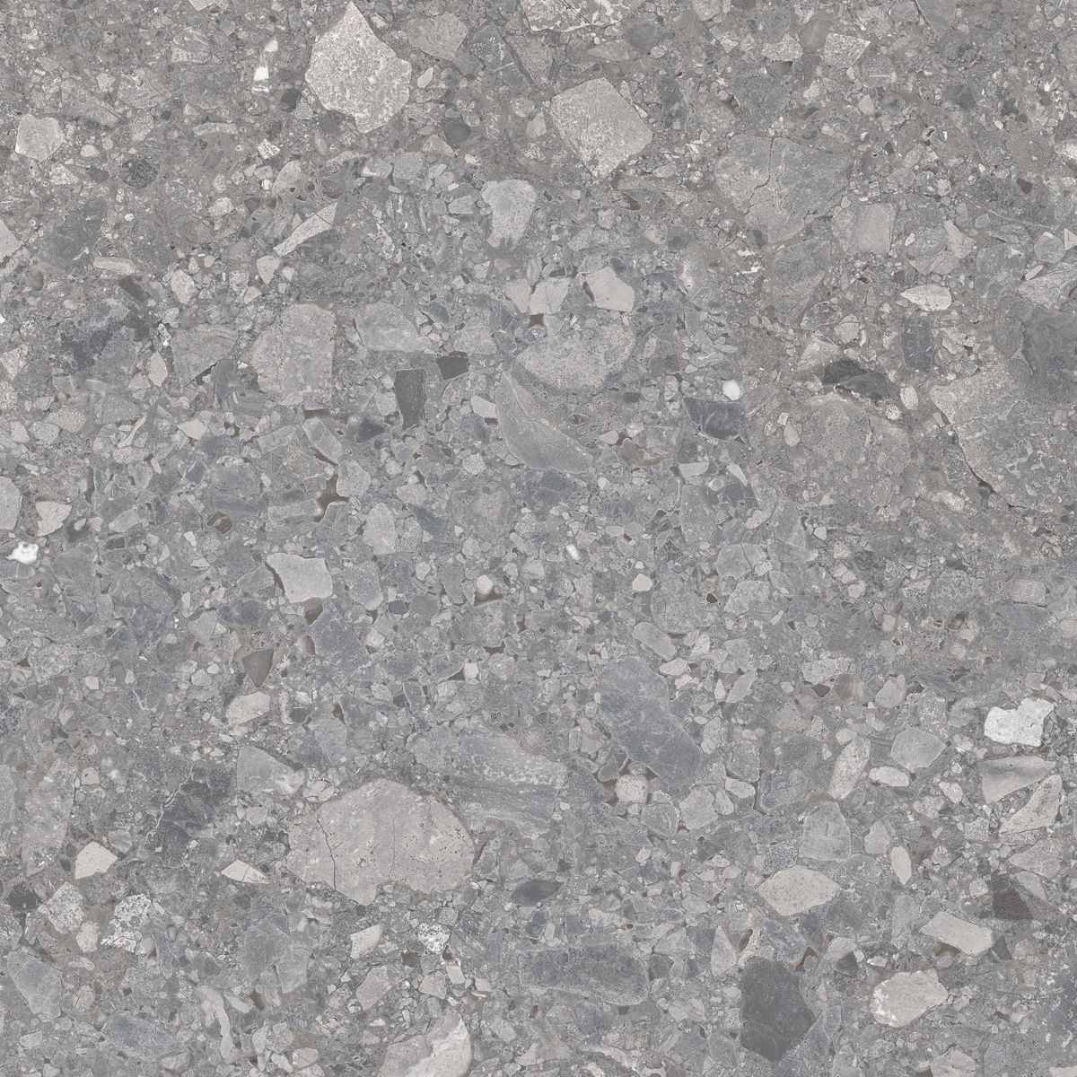 Floor Tiles Ceppostone Dark Grey Matte 24" x 24"