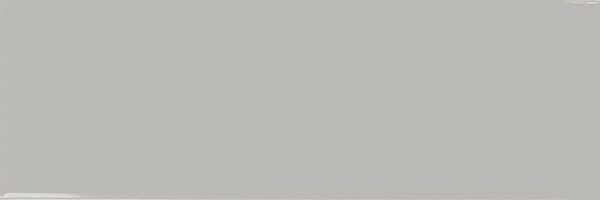 Wall Tiles Ral-Vision Grey Matte 4" x 12"
