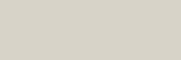 Wall Tiles Ral-Vision Biscuit Glossy 4" x 12"