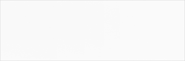Wall Tiles Ral-Vision Ultra White Matte 4" x 12"