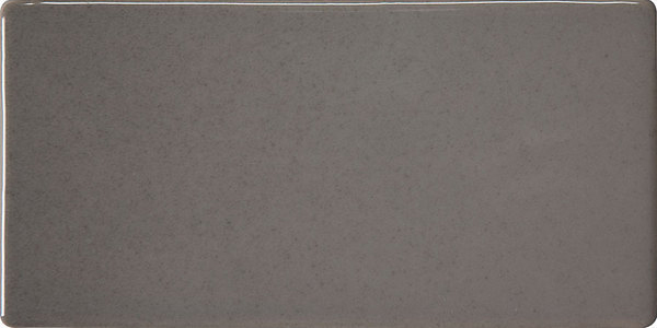 Wall Tiles Retroclassique Pewter Polished 3" x 6"