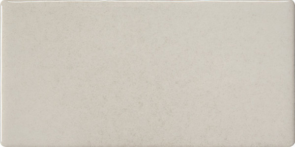 Wall Tiles Retroclassique Silver Polished 3" x 6"