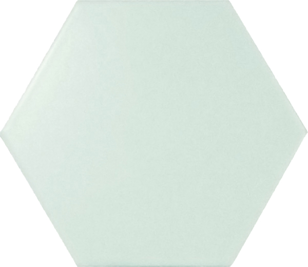Wall Tiles Scale Hexagon Mint Polished 4" x 5"