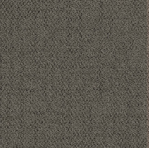 Carpet Tiles Solon Bed Rock 19-11/16" x 19-11/16"