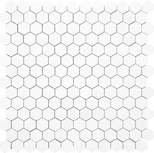 Mosaic Terra Marble Dolomite Hexagon Polished 12" x 12"