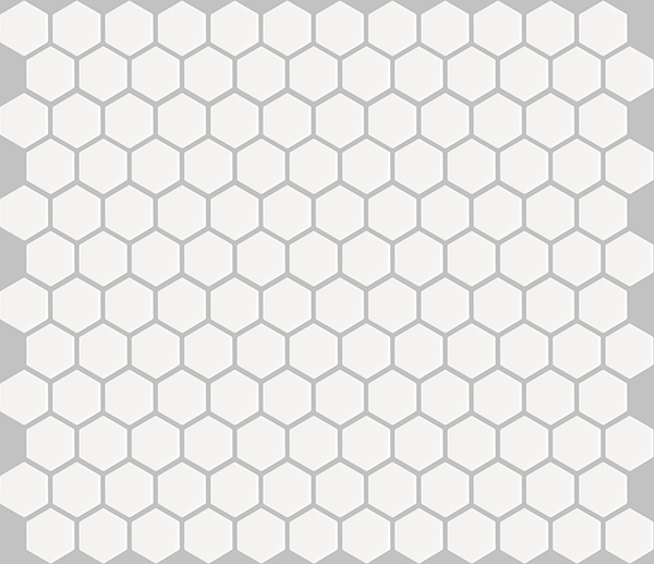 Mosaic Basic Hexagon/Octagon White Satin 12" x 12"
