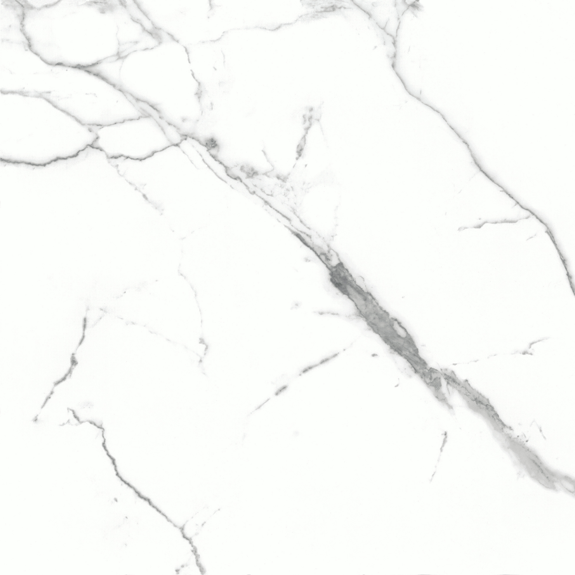 Floor Tiles Marmo Graphite Polished 24" x 24"