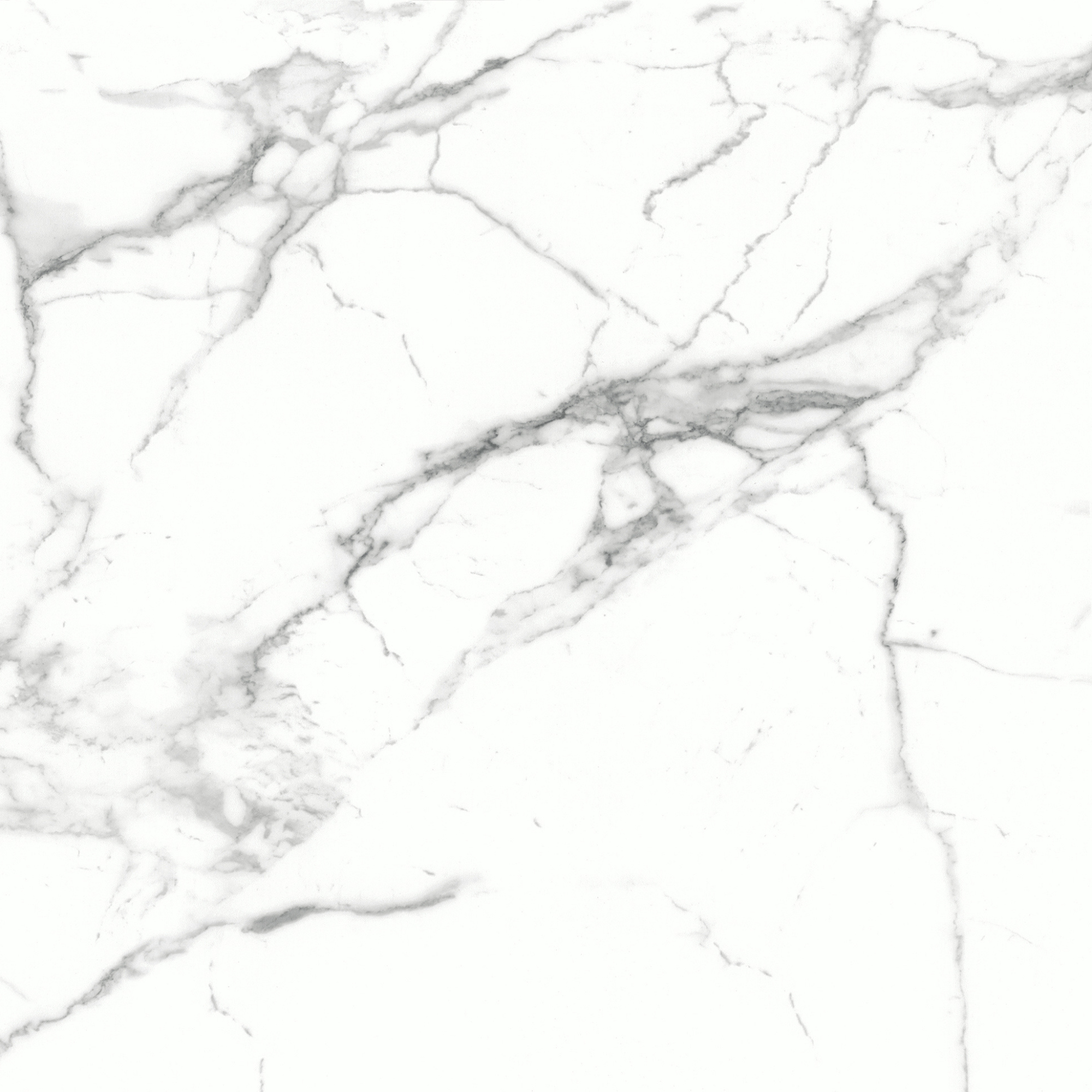 Floor Tiles Marmo Graphite Honed 24" x 24"