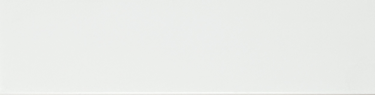 Wall Tiles Monochrome White Matte 2" x 8"