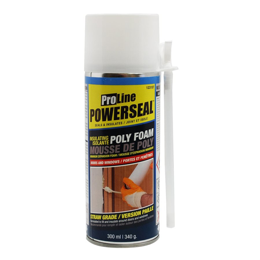 Expension Foam Powerseal 24oz
