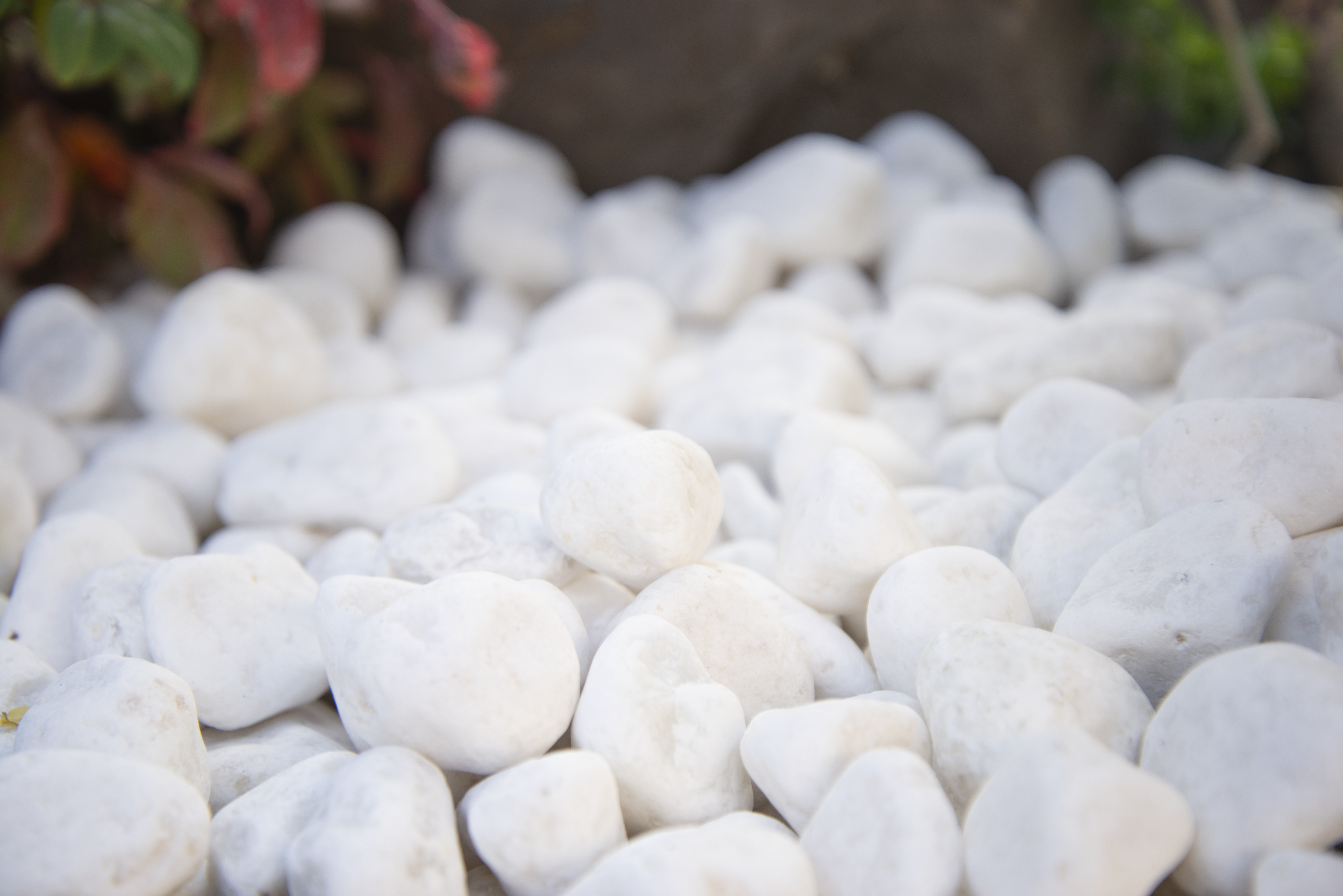 Grandes pierres de rivière Piedra Pebbles Himalaya White Naturel 40 lb