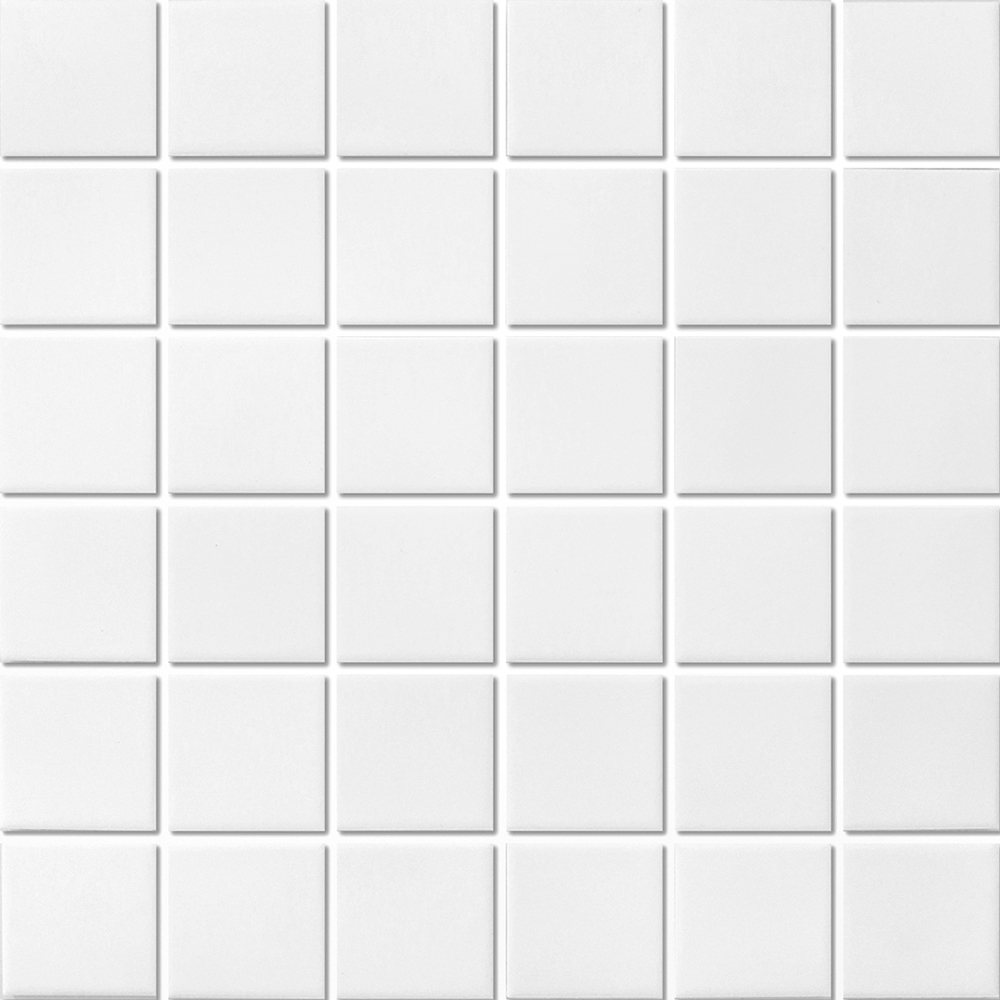 Mosaic Classic / Techno White Matte 12" x 12"
