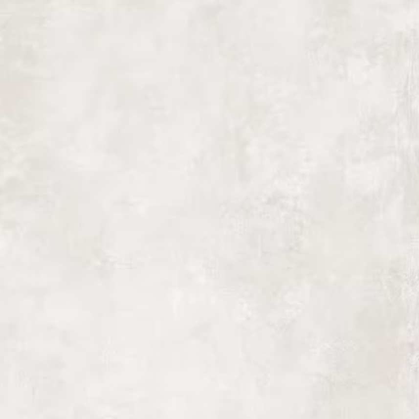 Floor Tiles Parker White Matte 12" x 24"