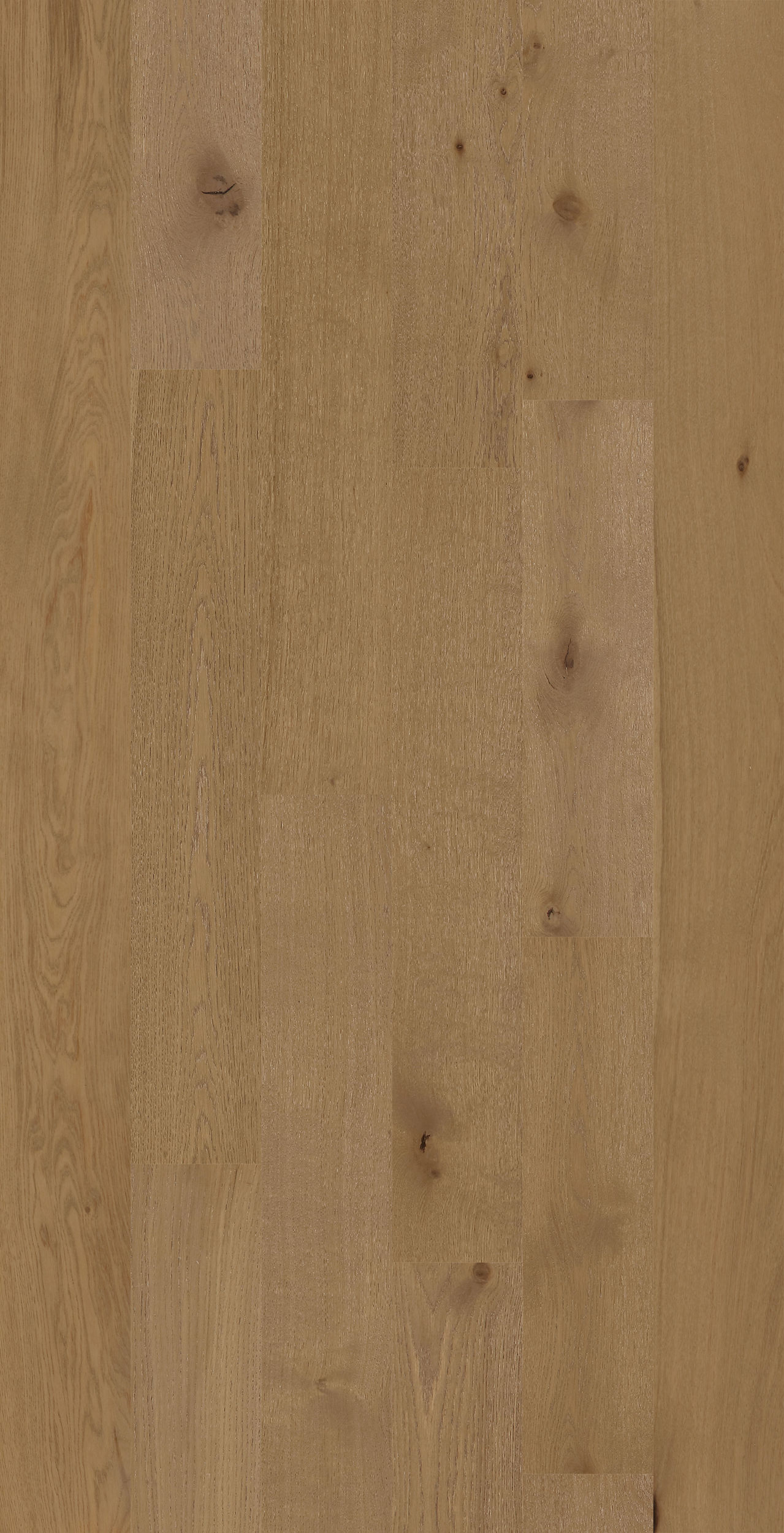Engineered Hardwood Nouveau 6 Desert Ark 6-1/2" - 3/4"