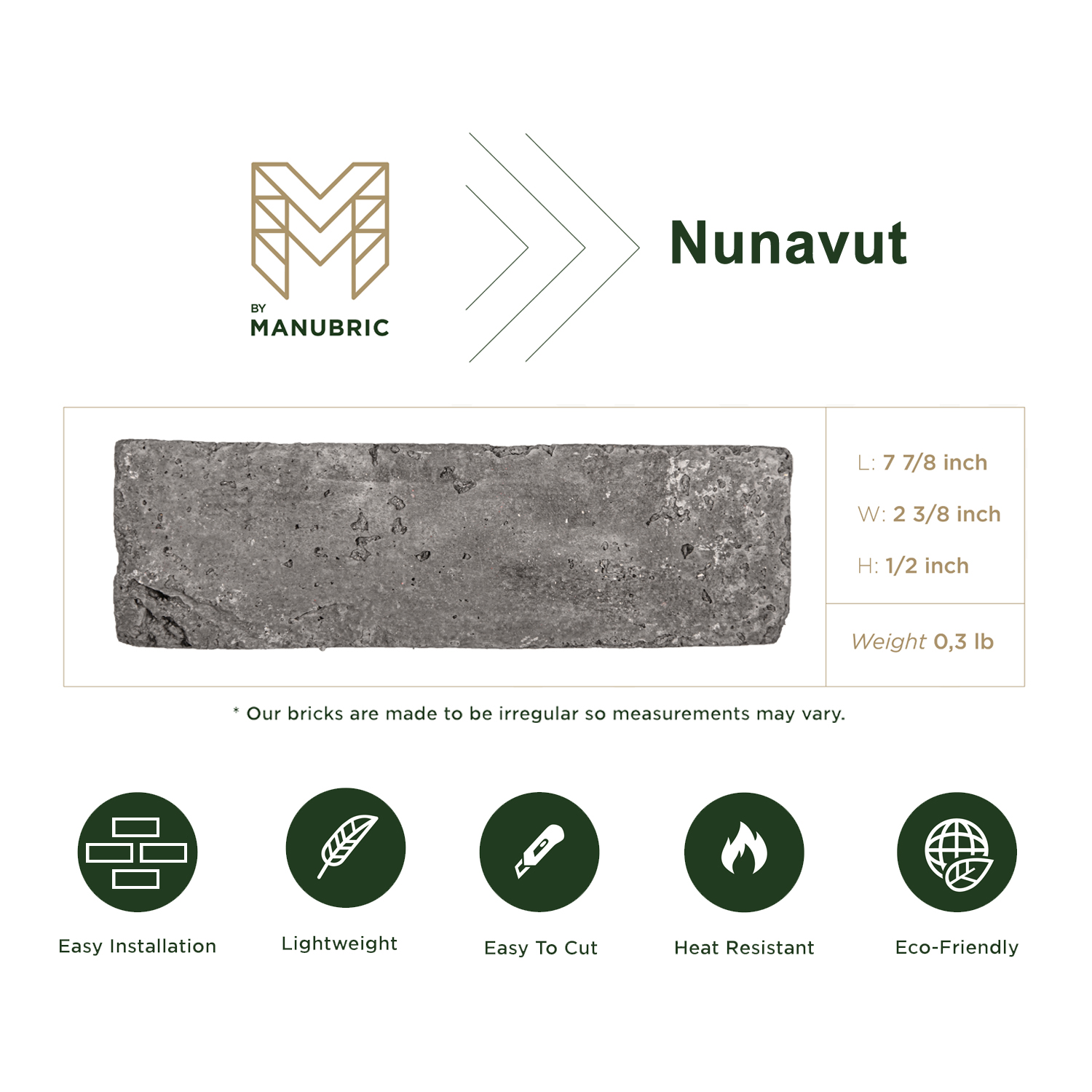 Manubric (BGN60010) product