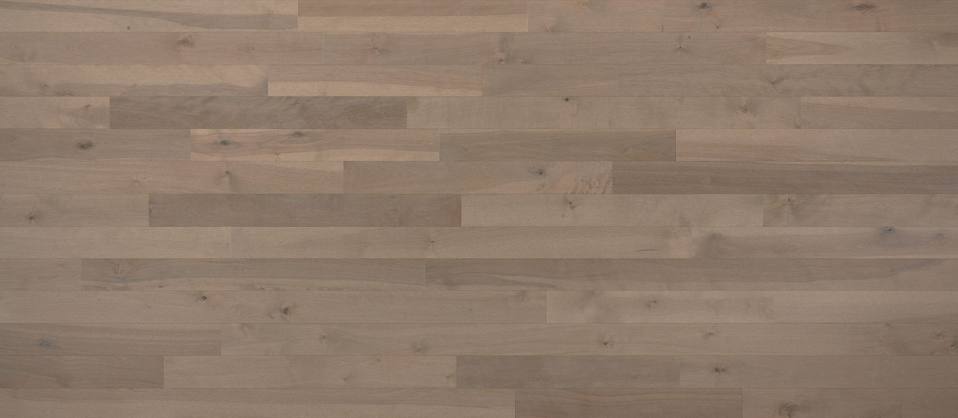 Hardwood Essential Talpa Yellow Birch Tradition Matte 3-1/4" - 3/4"