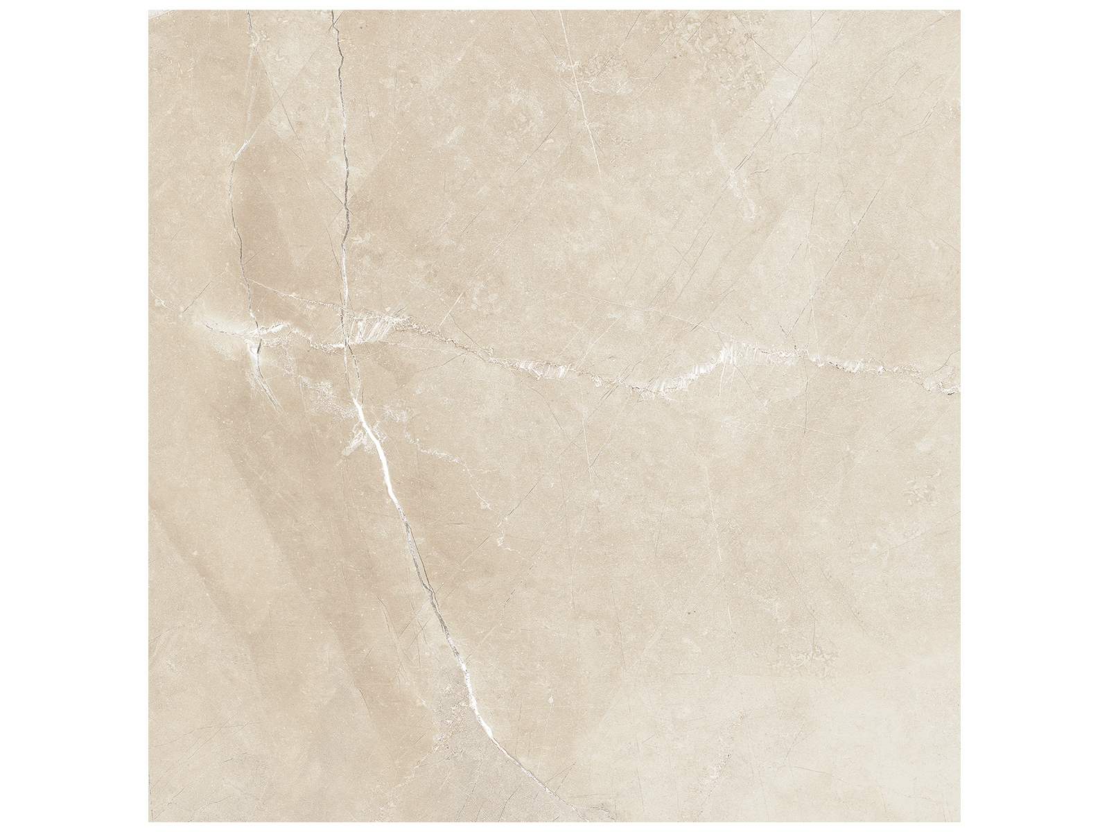Floor Tile Classic Pulpis Ivory Matte 18" x 18"