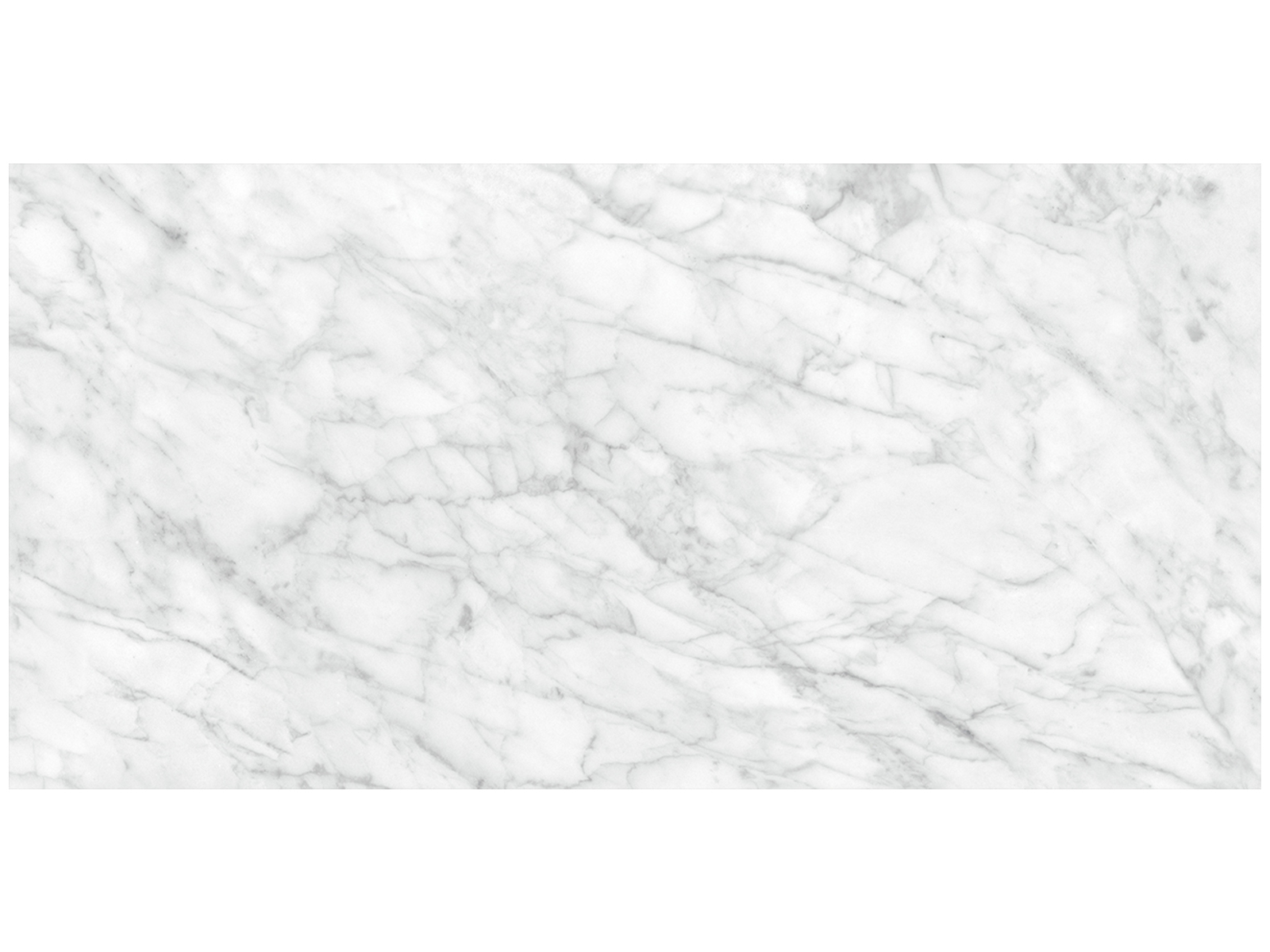 Floor Tile Plata Carrara Abisso Polished 24" x 47"