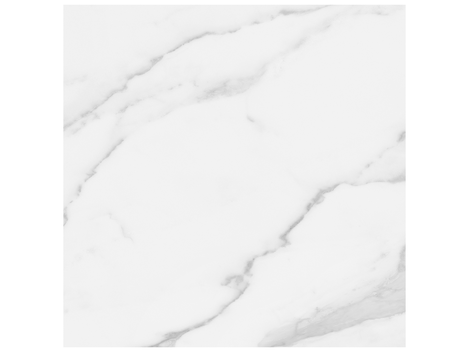 Floor Tile Plata Statuario Brina Matte 24" x 24"