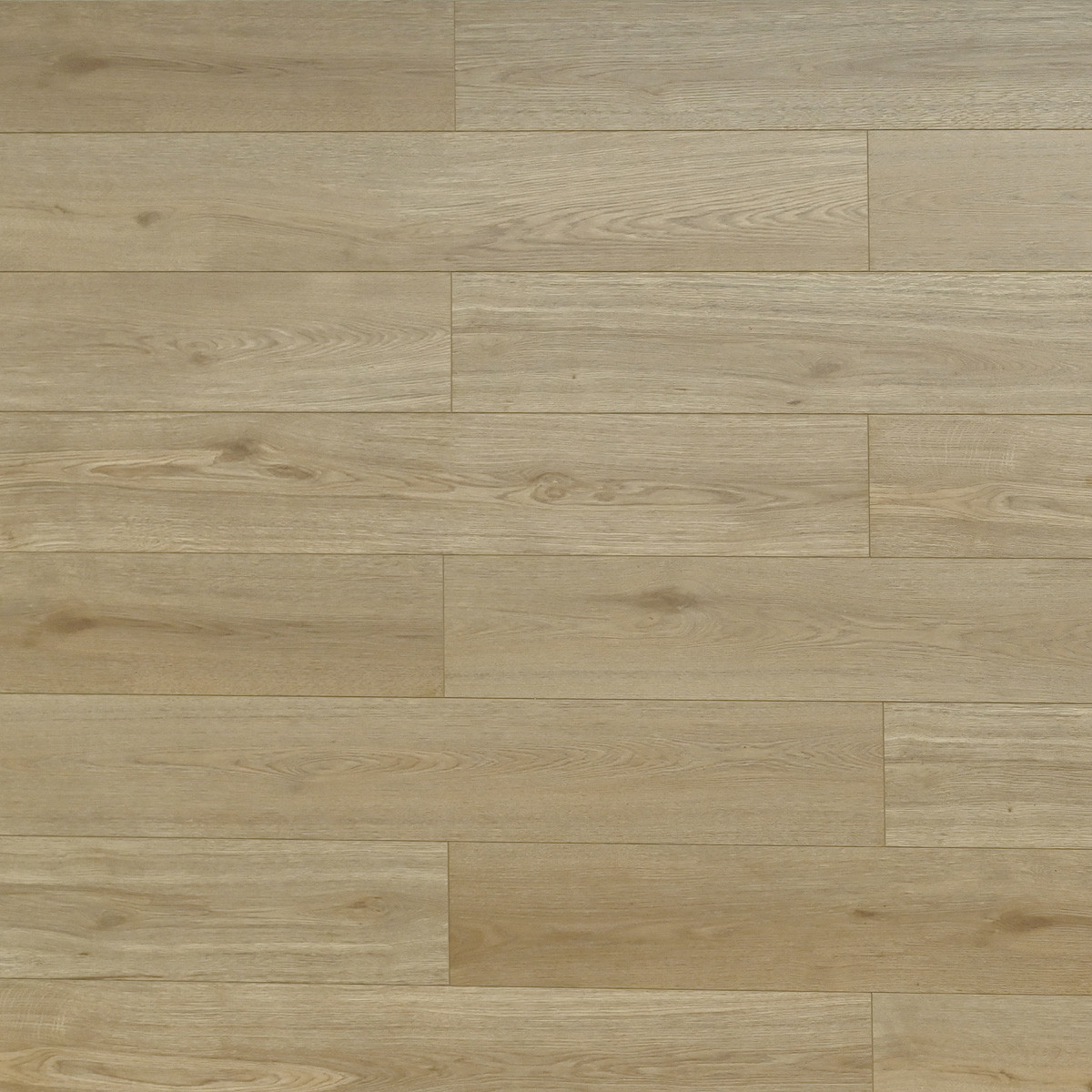 Laminate Flooring TF66 Series #6612 Melrose 7-3/4" x 47-15/16"