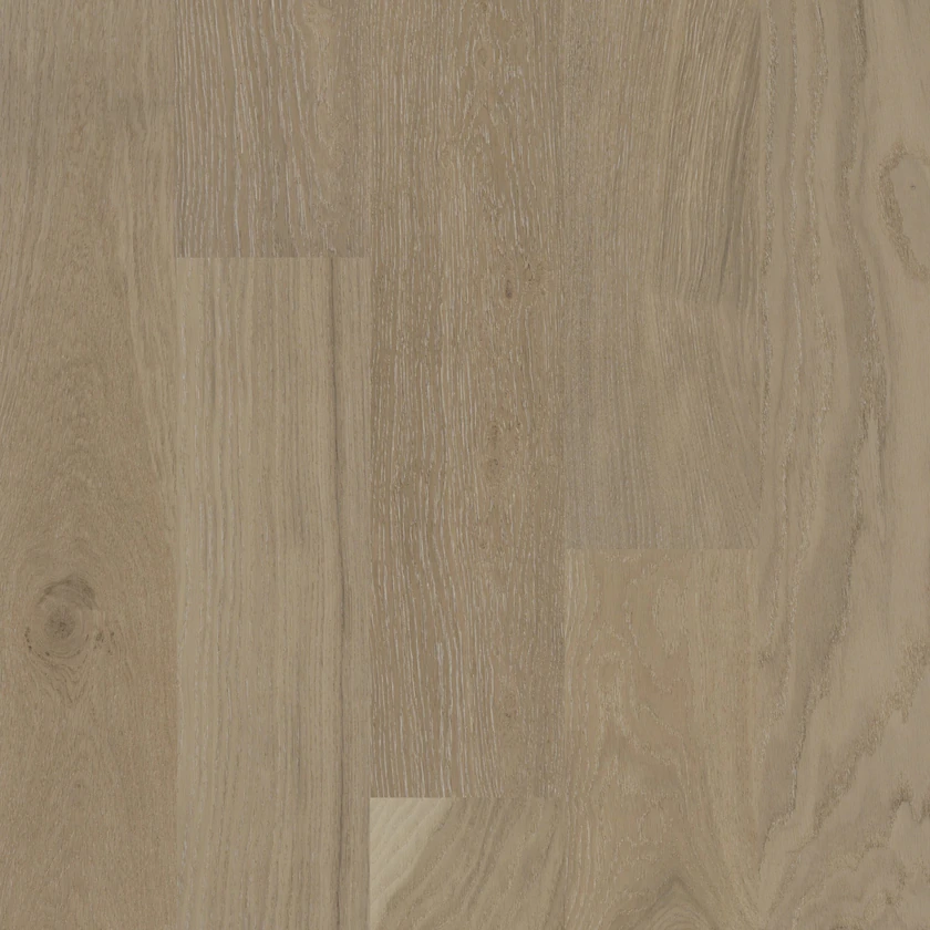 Bois d'ingénierie Nouveau 8 Barely Beige 8-1/2" - 3/4"