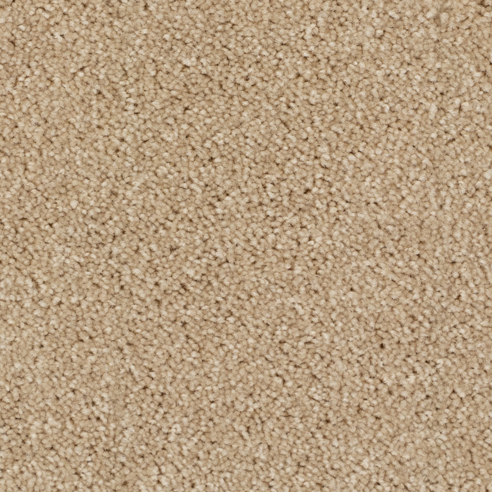 Broadloom Carpet Spartacus Provincial White 12' (Sold in Sqyd)