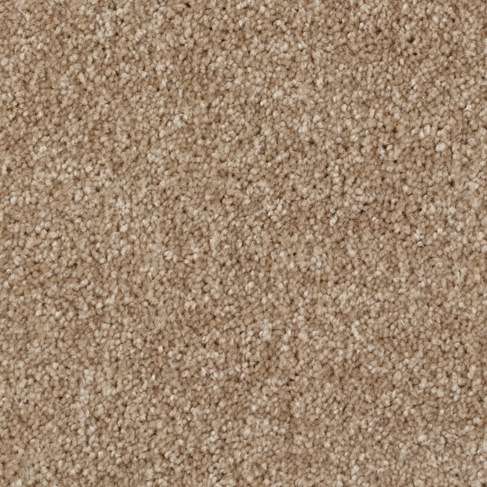Broadloom Carpet Spartacus Pampa Beige 12' (Sold in Sqyd)