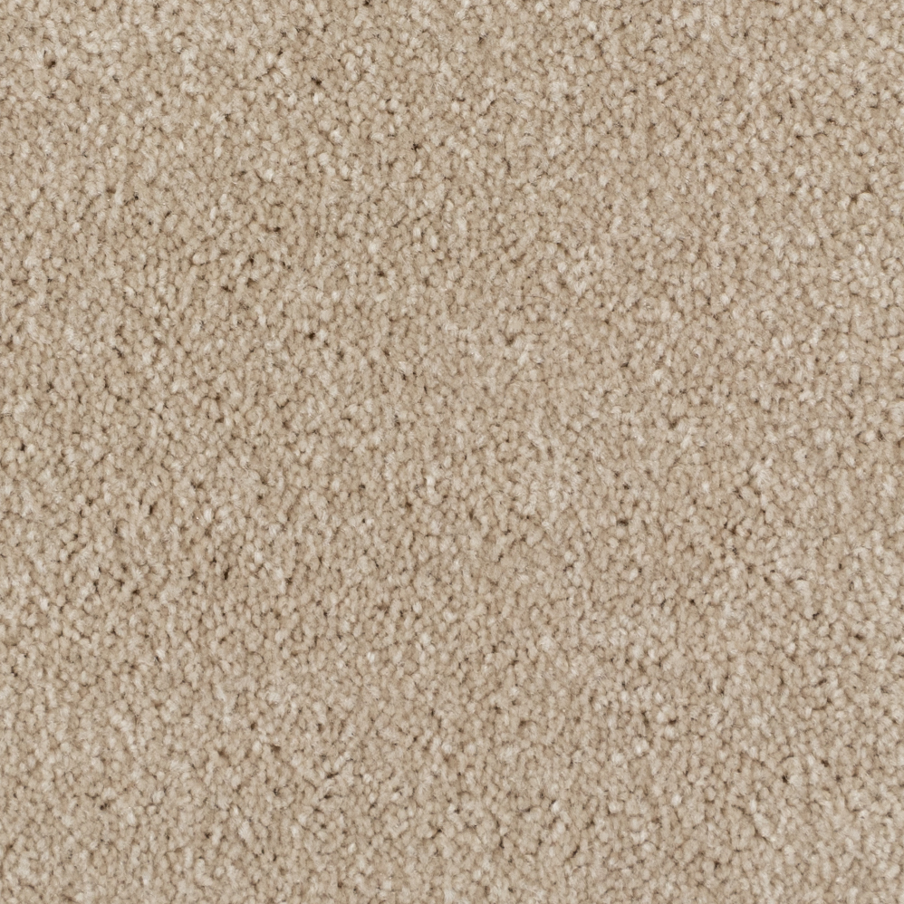 Broadloom Carpet Spartacus Sandy Beige 12' (Sold in Sqyd)