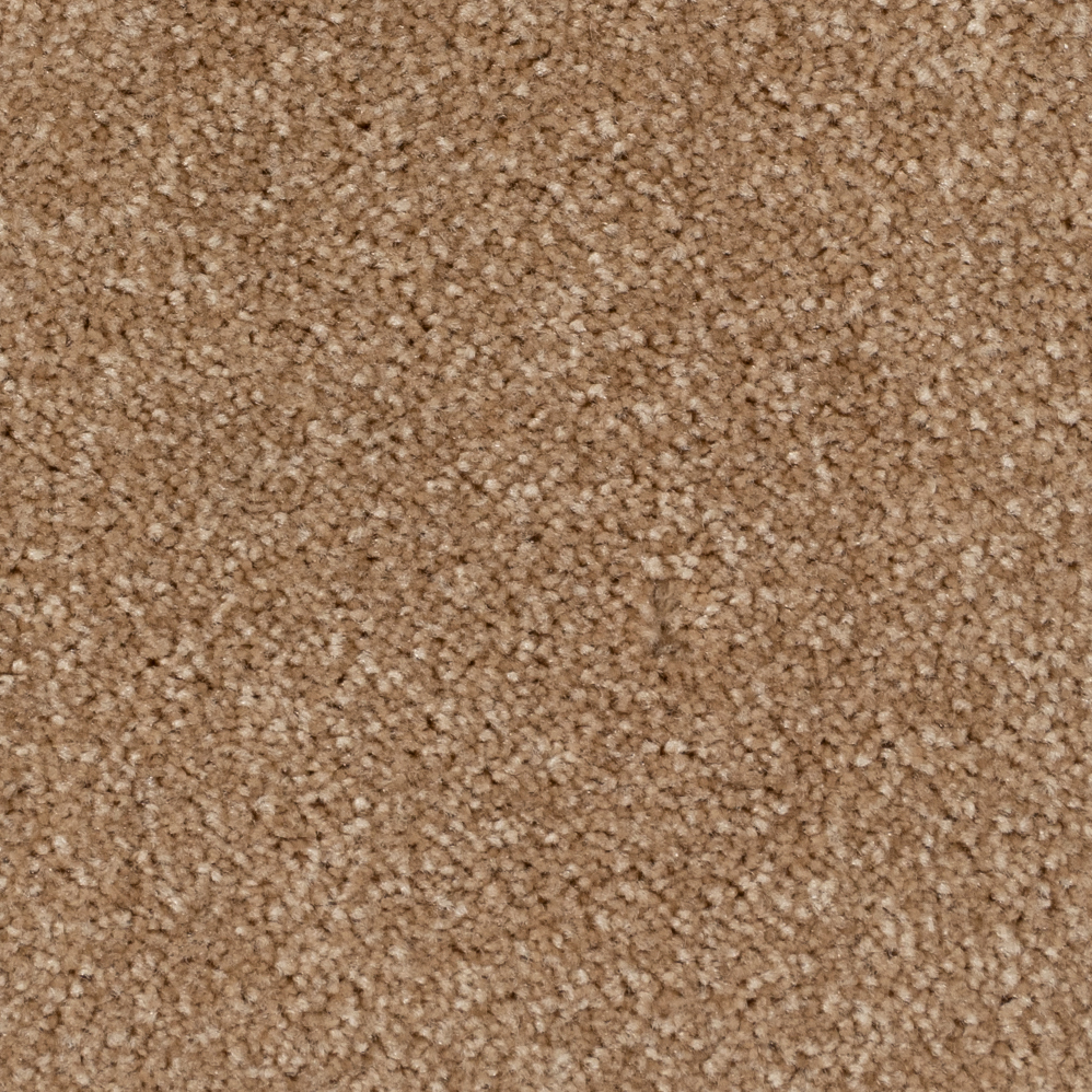 Broadloom Carpet Spartacus Sand 12' (Sold in Sqyd)