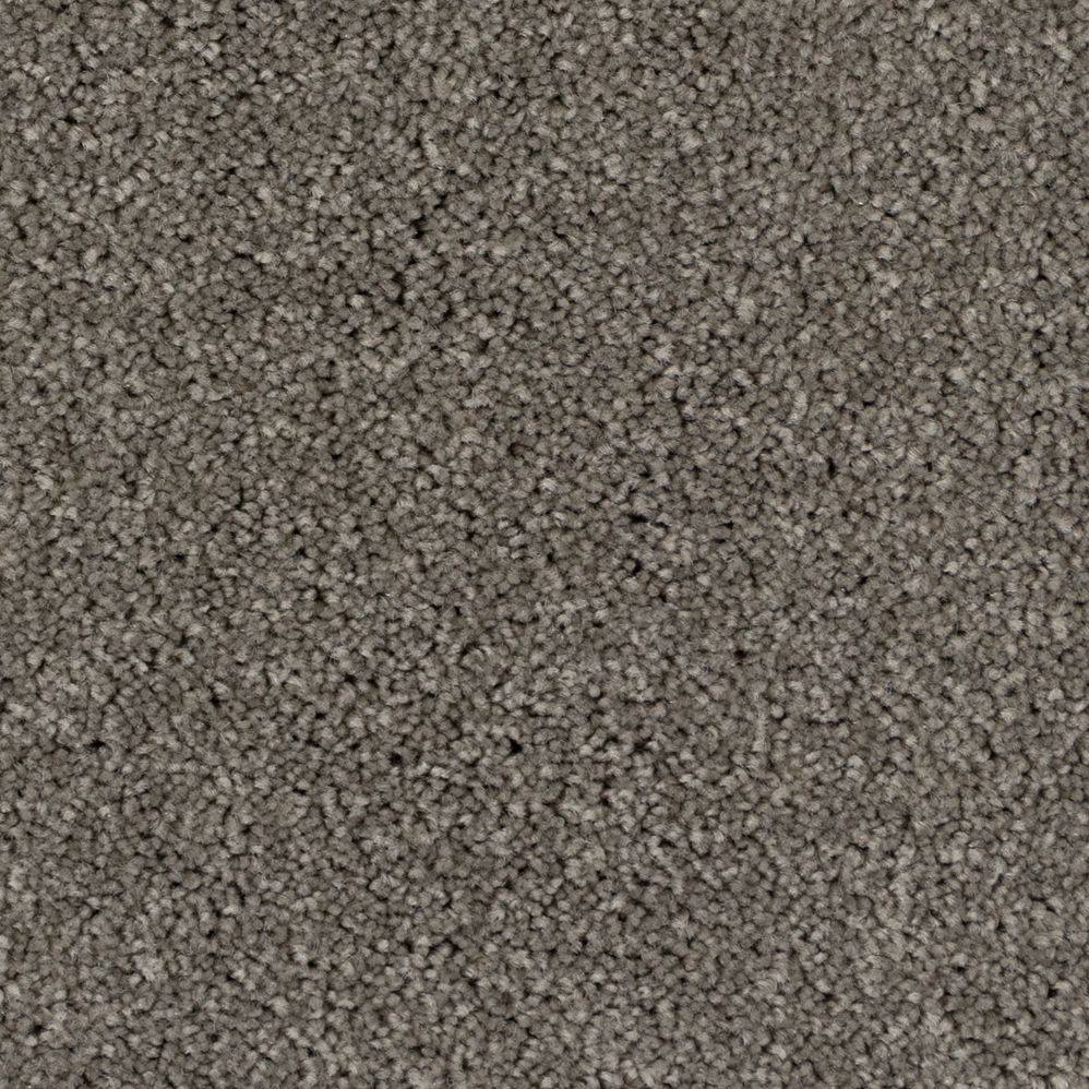 Broadloom Carpet Spartacus Morning Light 12' (Sold in Sqyd)