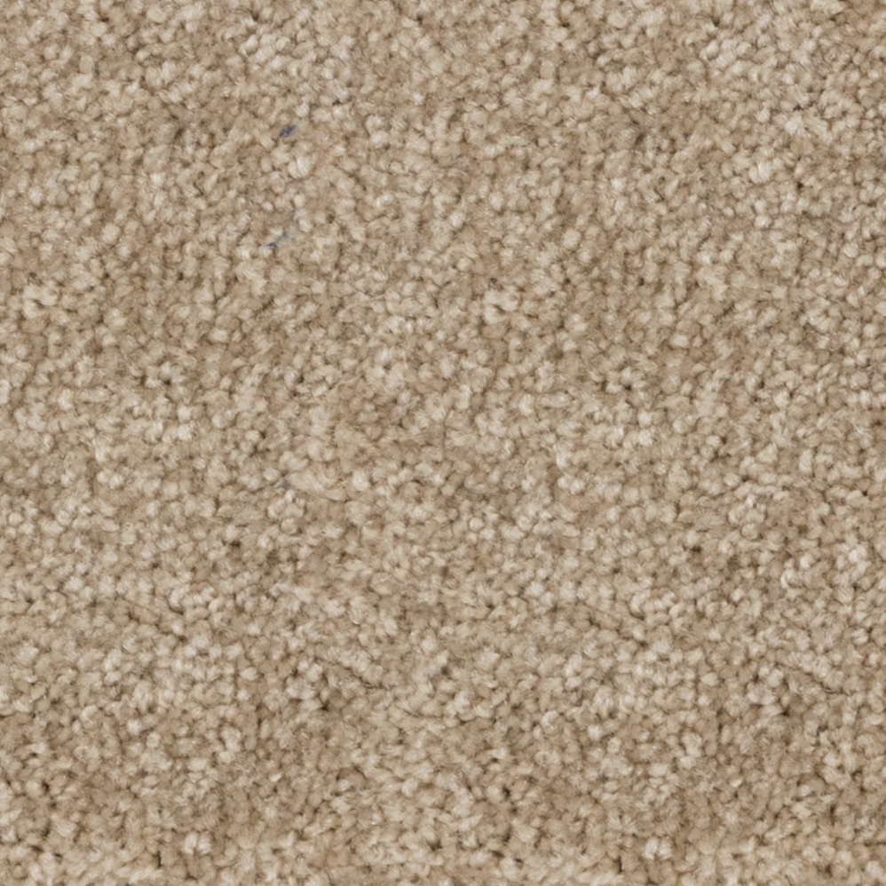 Broadloom Carpet Webster Graffiti Beige 12' (Sold in Sqyd)
