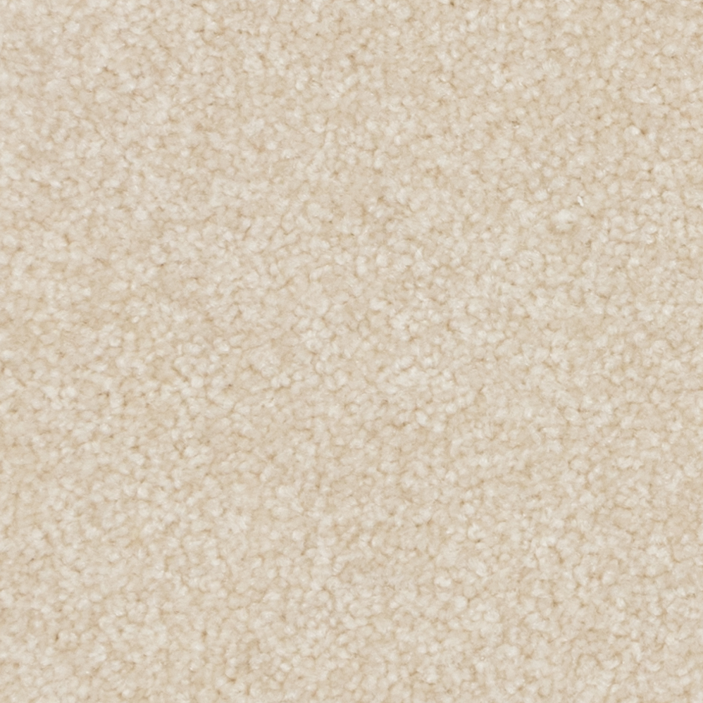 Broadloom Carpet Webster Soft Cameo 12' (Sold in Sqyd)