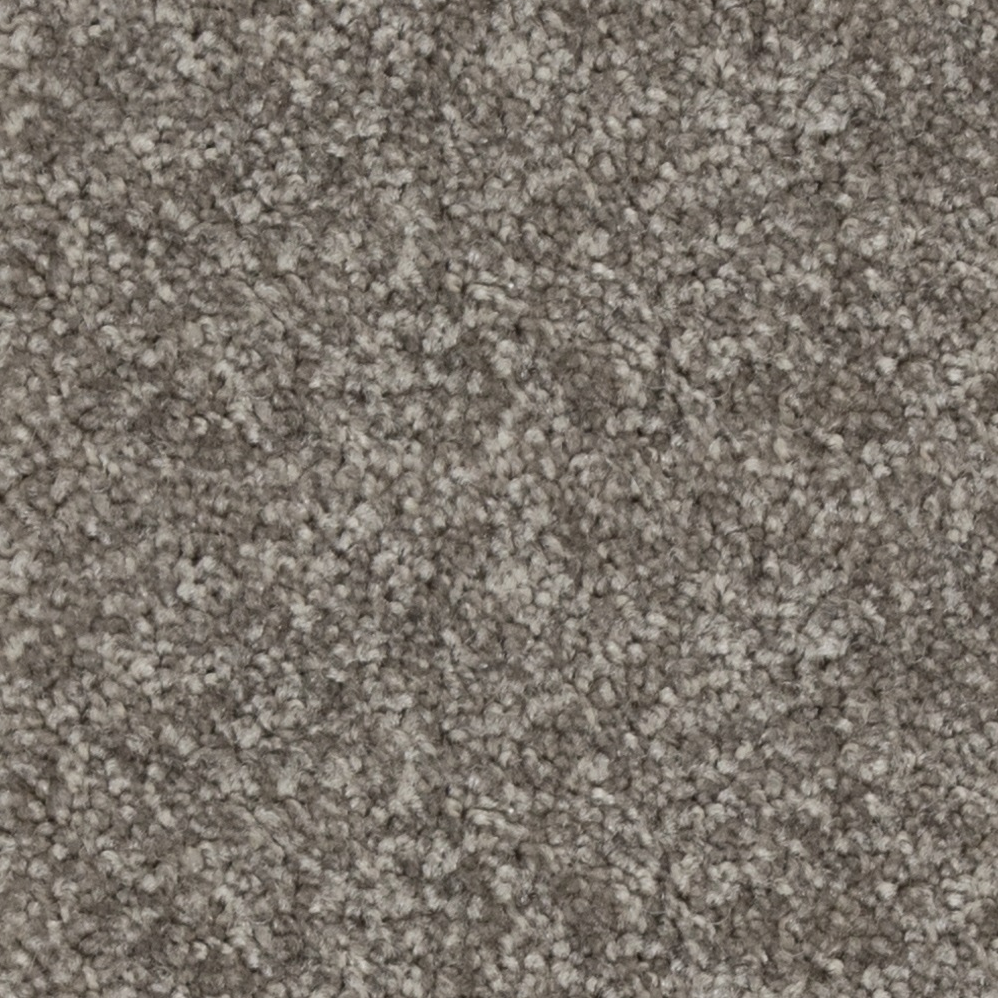 Broadloom Carpet Webster Comet Grey 12' (Sold in Sqyd)
