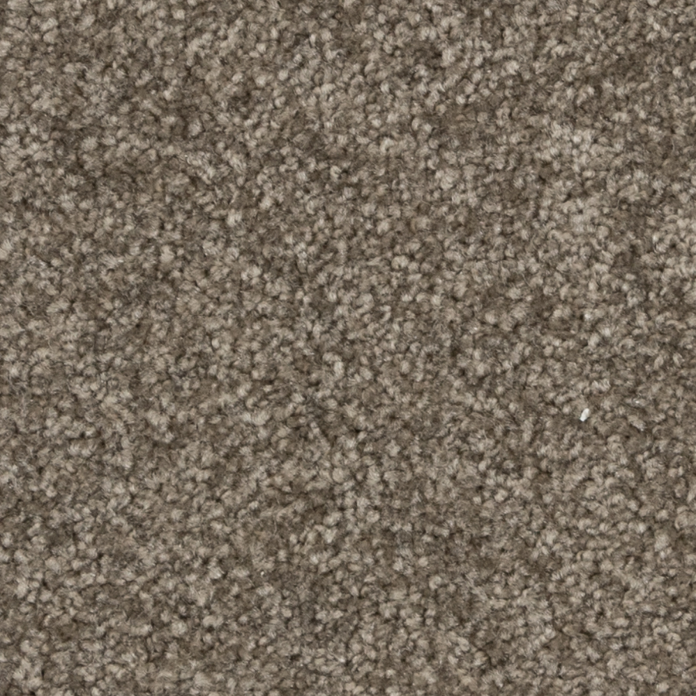 Broadloom Carpet Webster Haze on the Town 12' (Sold in Sqyd)