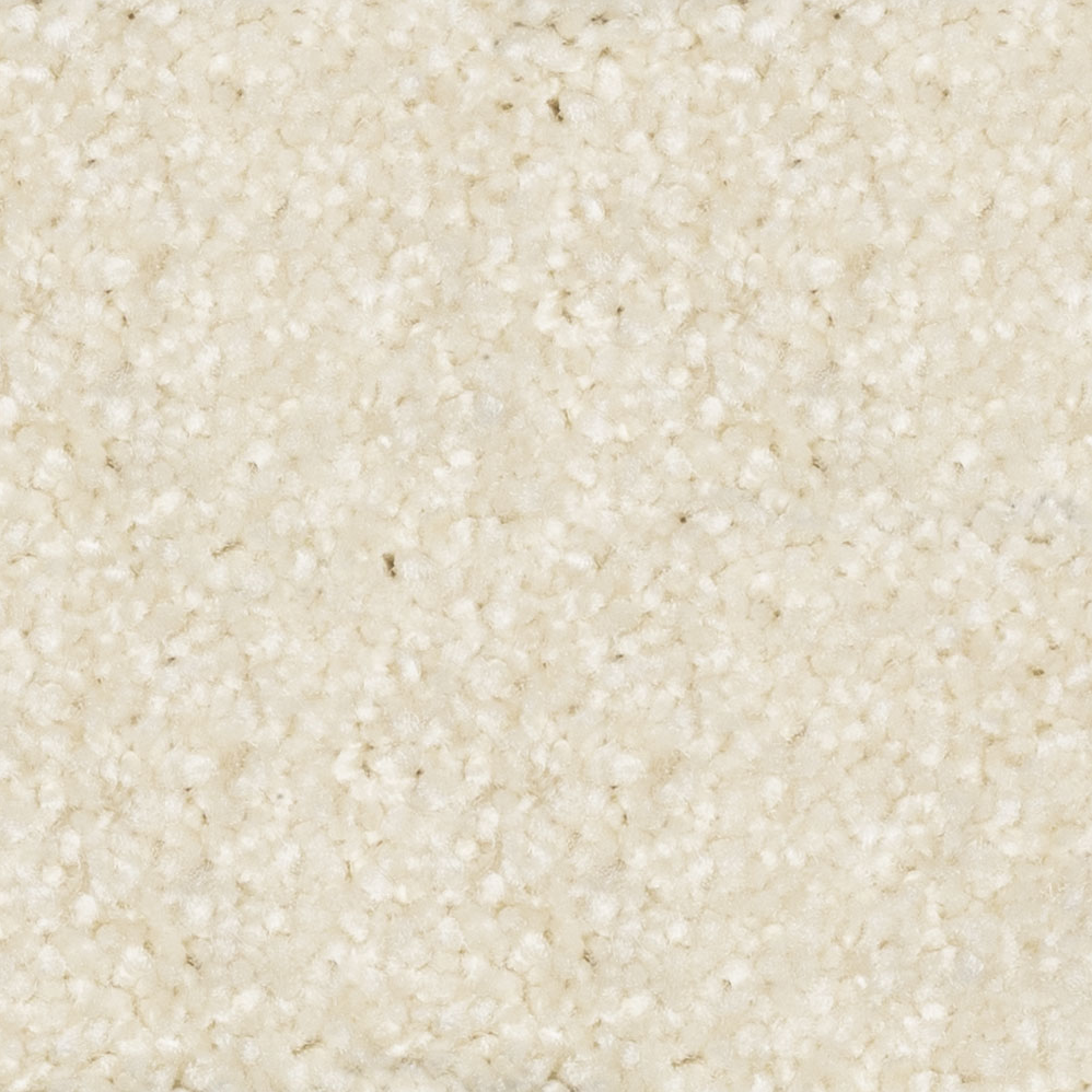 Broadloom Carpet Prodigy Velvety Clay 12' (Sold in Sqyd)