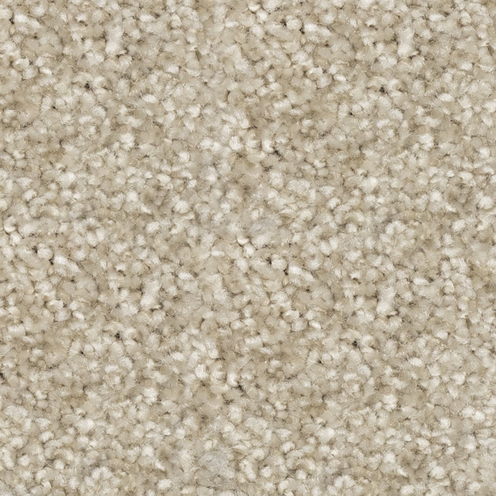 Broadloom Carpet Prodigy Warm Grey 12' (Sold in Sqyd)