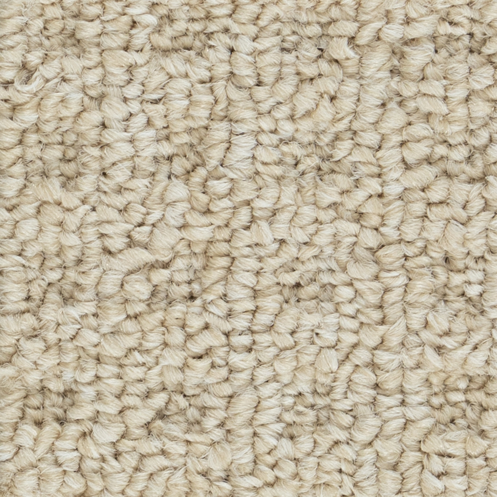 Broadloom Carpet Boloria II Maple Cream 12' (Sold in Sqyd)