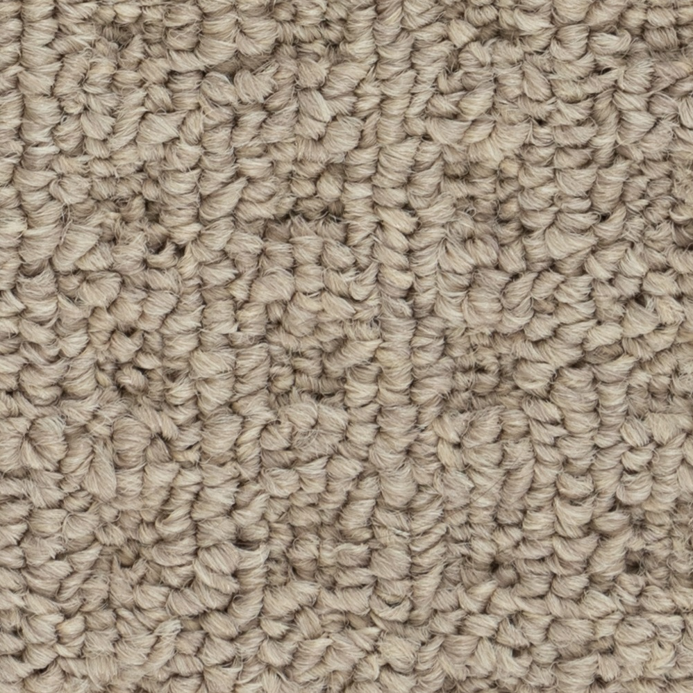 Broadloom Carpet Boloria II Maple Wood 12' (Sold in Sqyd)