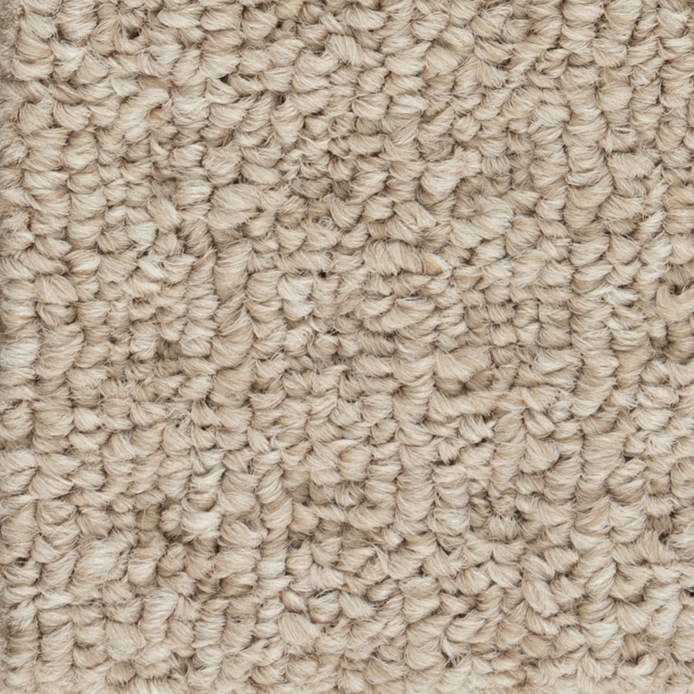 Broadloom Carpet Boloria II Tender Taupe 12' (Sold in Sqyd)