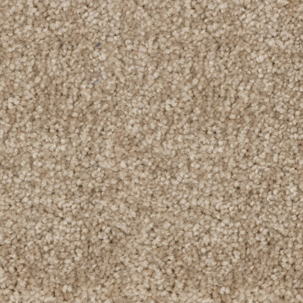 Tapis en rouleau Stratford SDN Graffiti Beige 12' (vendu en vg²)