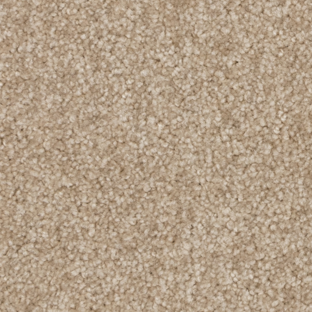 Broadloom Carpet Radcliffe Brown Bag 12' (Sold in Sqyd)