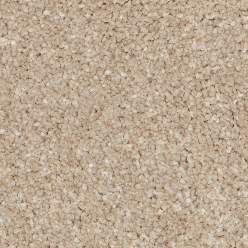 Broadloom Carpet Serene Ambiance Clear Ochre Brown 12' (Sold in Sqyd)