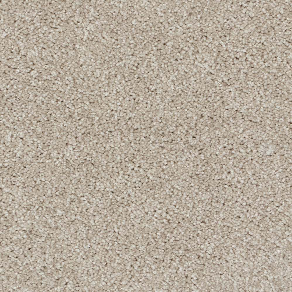 Broadloom Carpet Lombard Street Velvety Clay 12' (Sold in Sqyd)