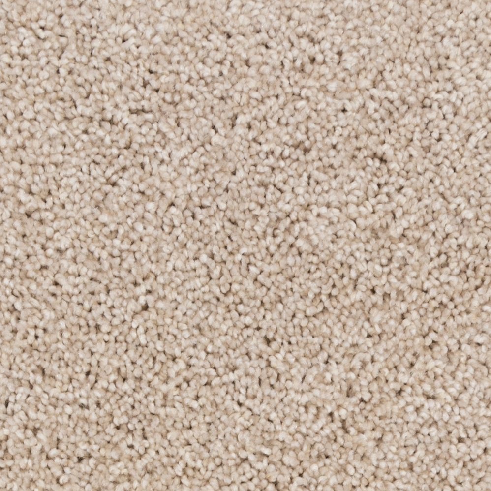 Broadloom Carpet Peak Point Dune White 12' (Sold in Sqyd)