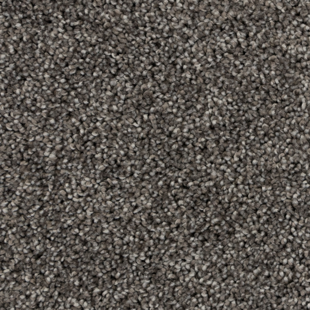 Broadloom Carpet Peak Point Downtown Brown 12' (Sold in Sqyd)