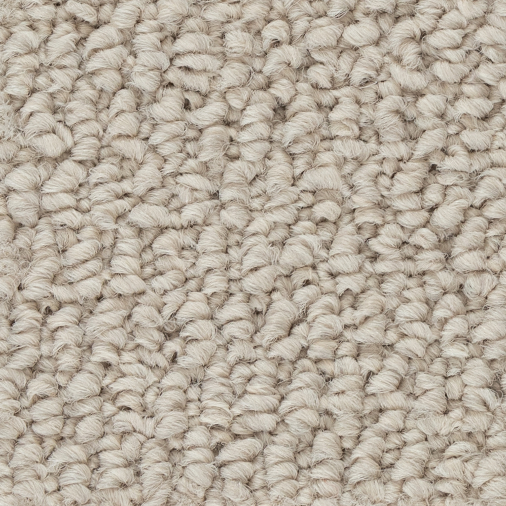 Broadloom Carpet Papilio II Democracy 12' (Sold in Sqyd)