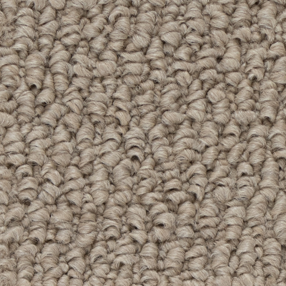 Broadloom Carpet Papilio II Shammy 12' (Sold in Sqyd)