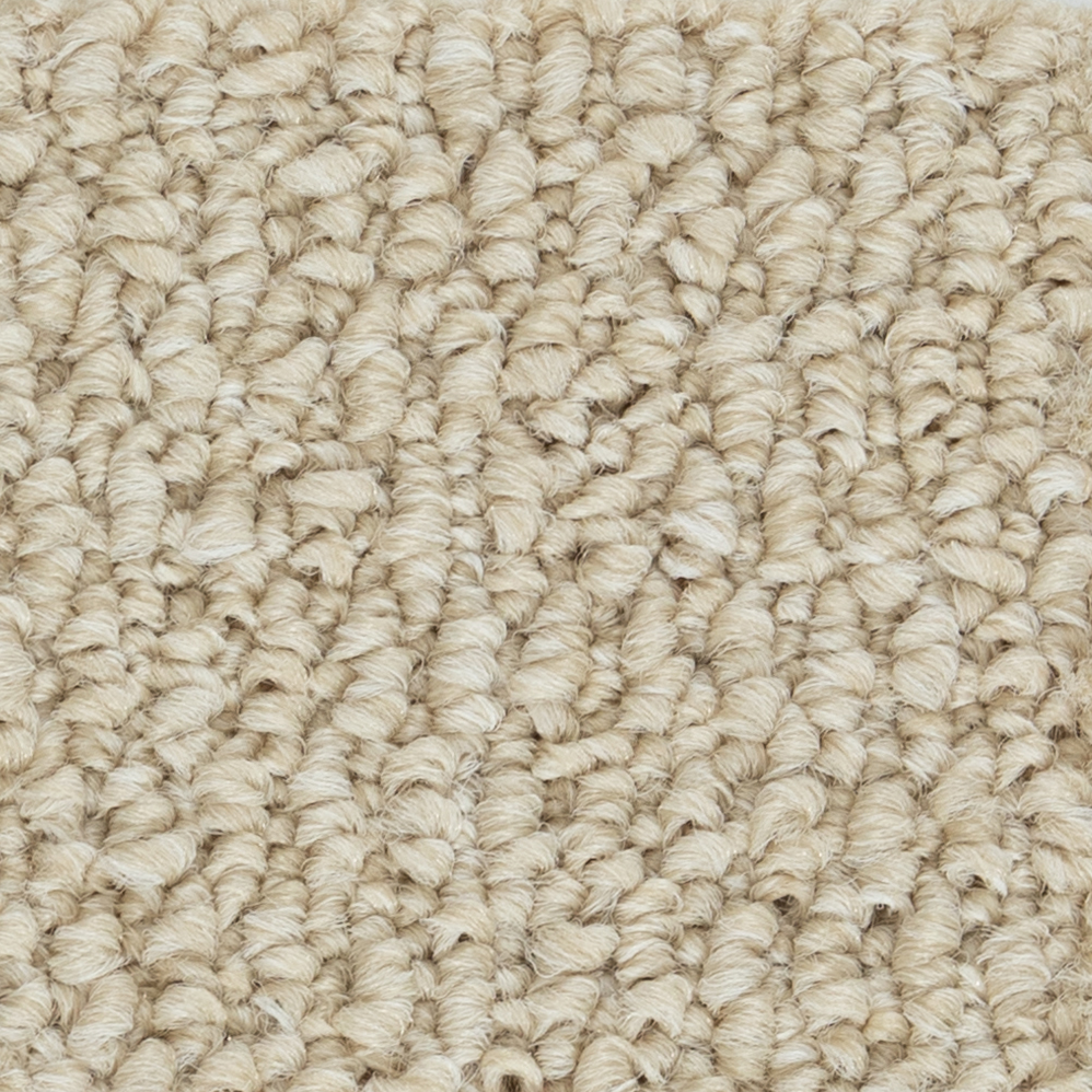 Broadloom Carpet Papilio II Maple Cream 12' (Sold in Sqyd)