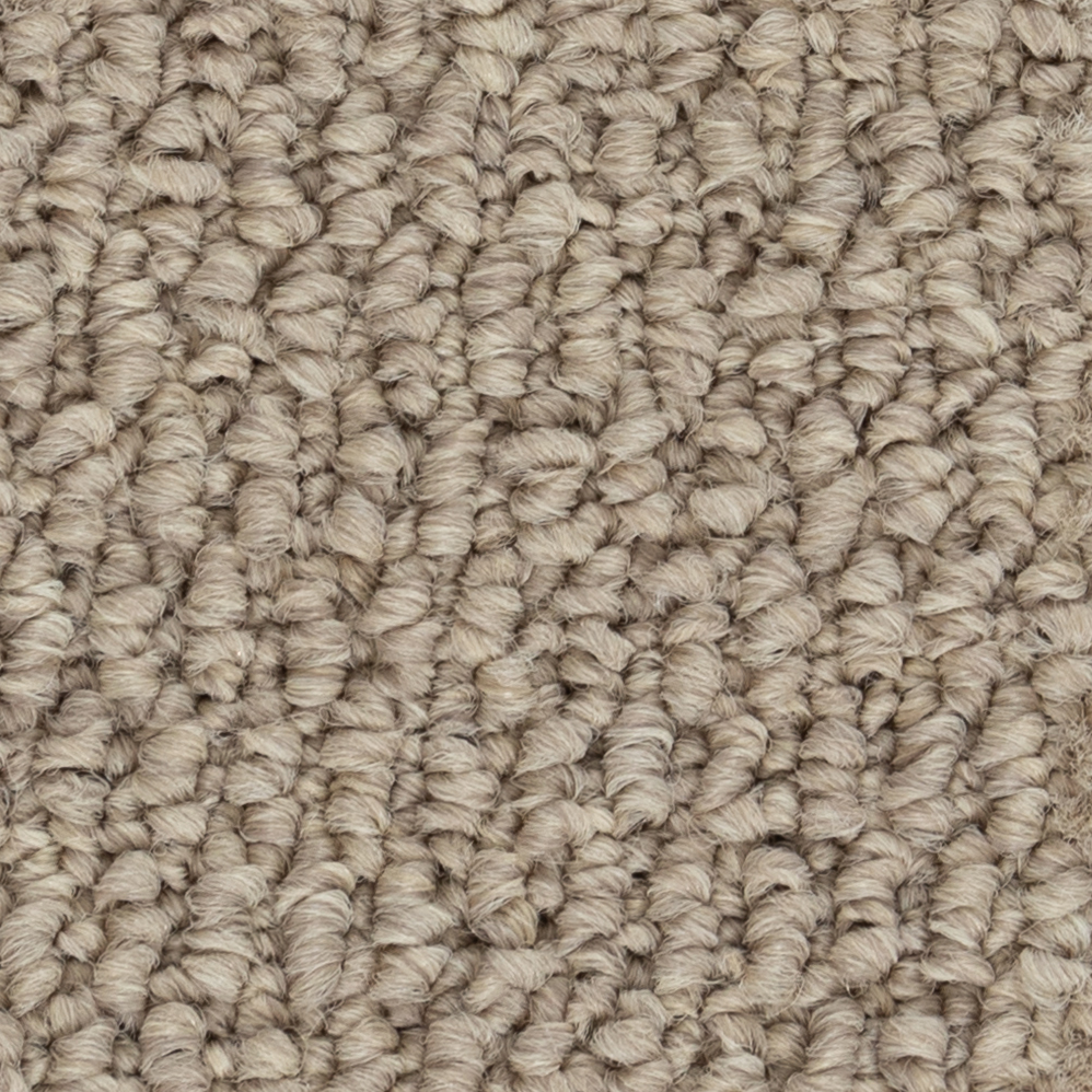Broadloom Carpet Papilio II Maple Wood 12' (Sold in Sqyd)
